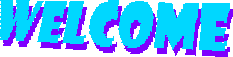 A flashing image of the word 'welcome'